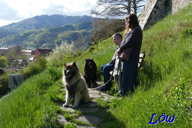 19.4.2025 - Zwischenstop